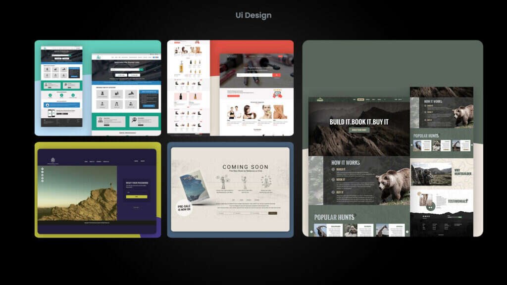 UI/UX Design Services portfolio sample