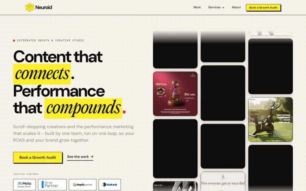 Neuroid Media website screenshot